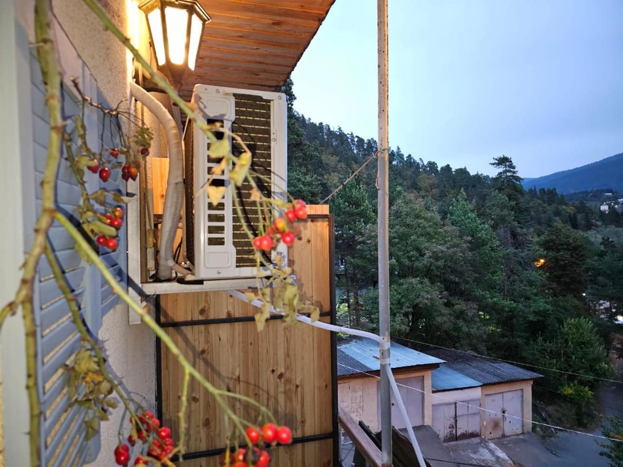 Guest House Likani 2017 Borjomi Camera foto