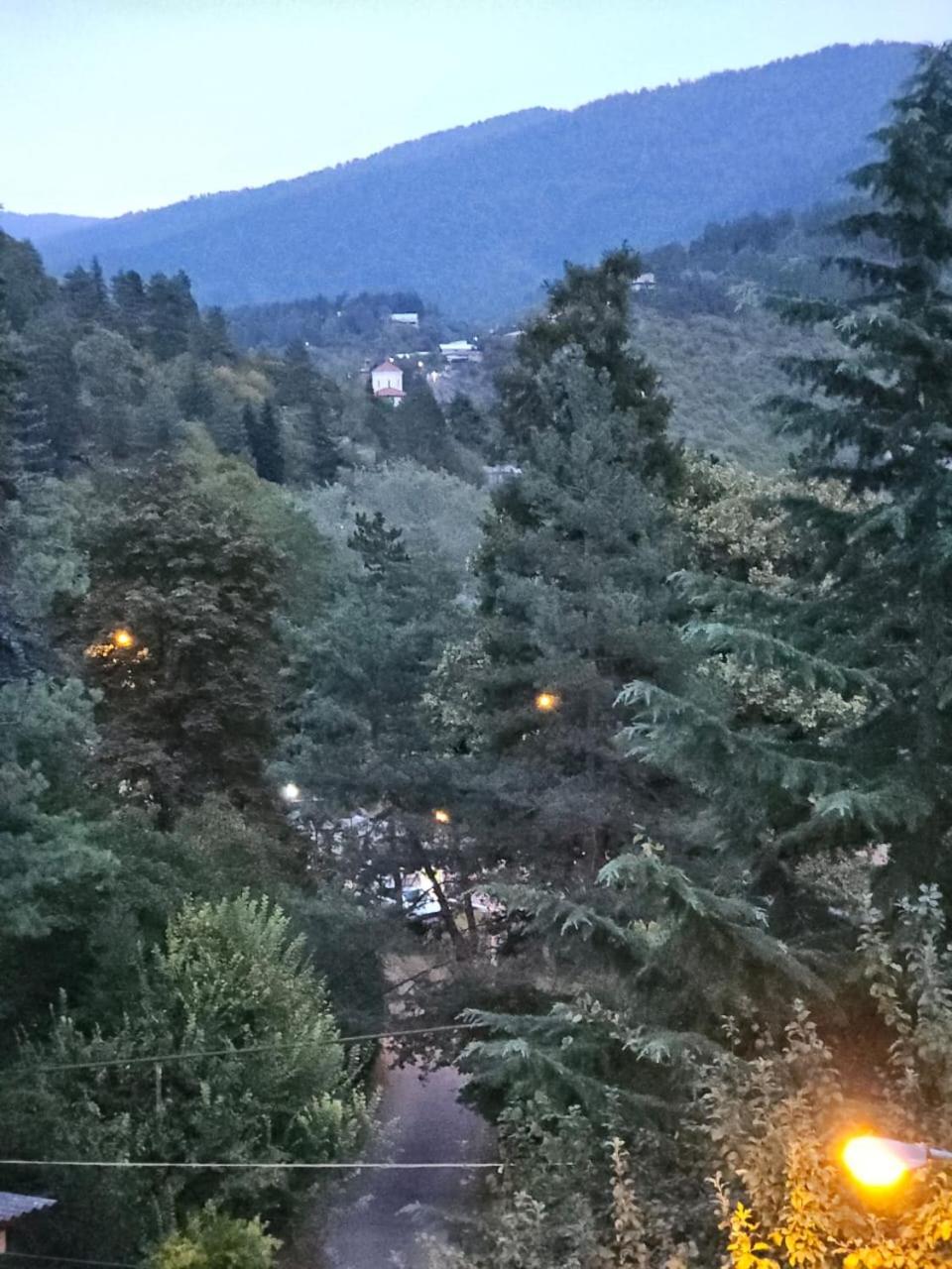 Guest House Likani 2017 Borjomi Camera foto