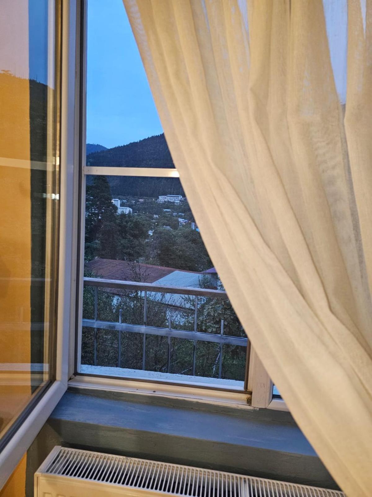 Guest House Likani 2017 Borjomi Camera foto
