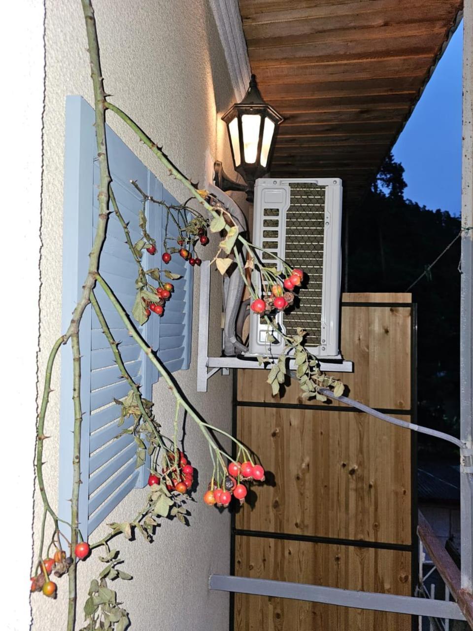 Guest House Likani 2017 Borjomi Camera foto