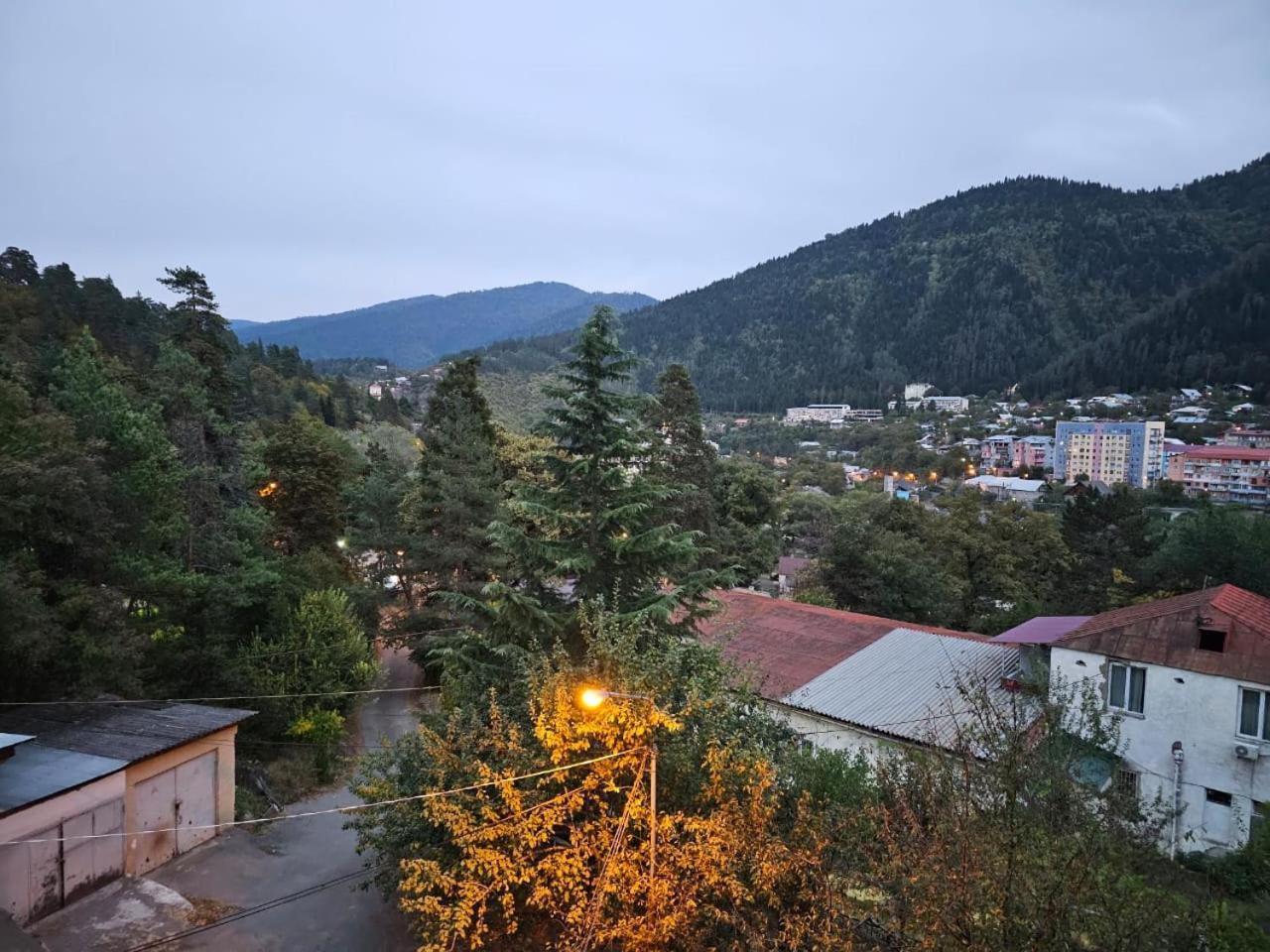 Guest House Likani 2017 Borjomi Camera foto