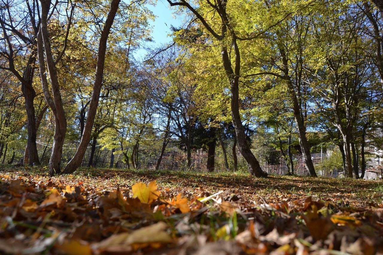 Guest House Likani 2017 Borjomi Esterno foto