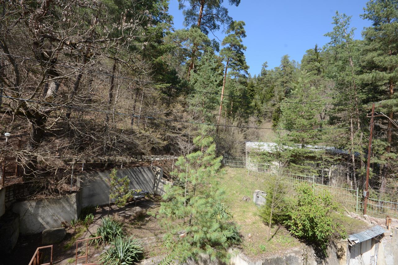 Guest House Likani 2017 Borjomi Esterno foto