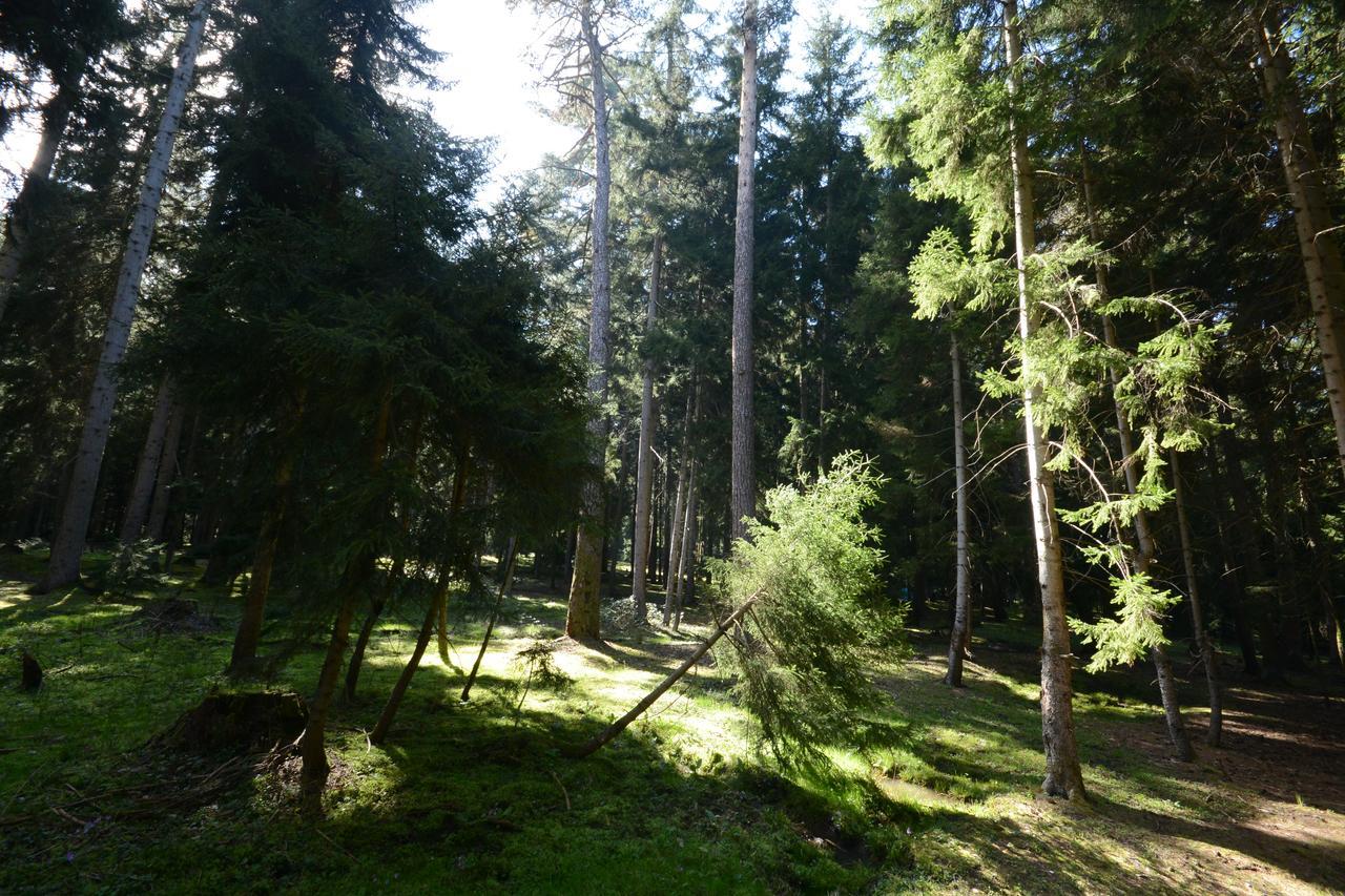 Guest House Likani 2017 Borjomi Esterno foto