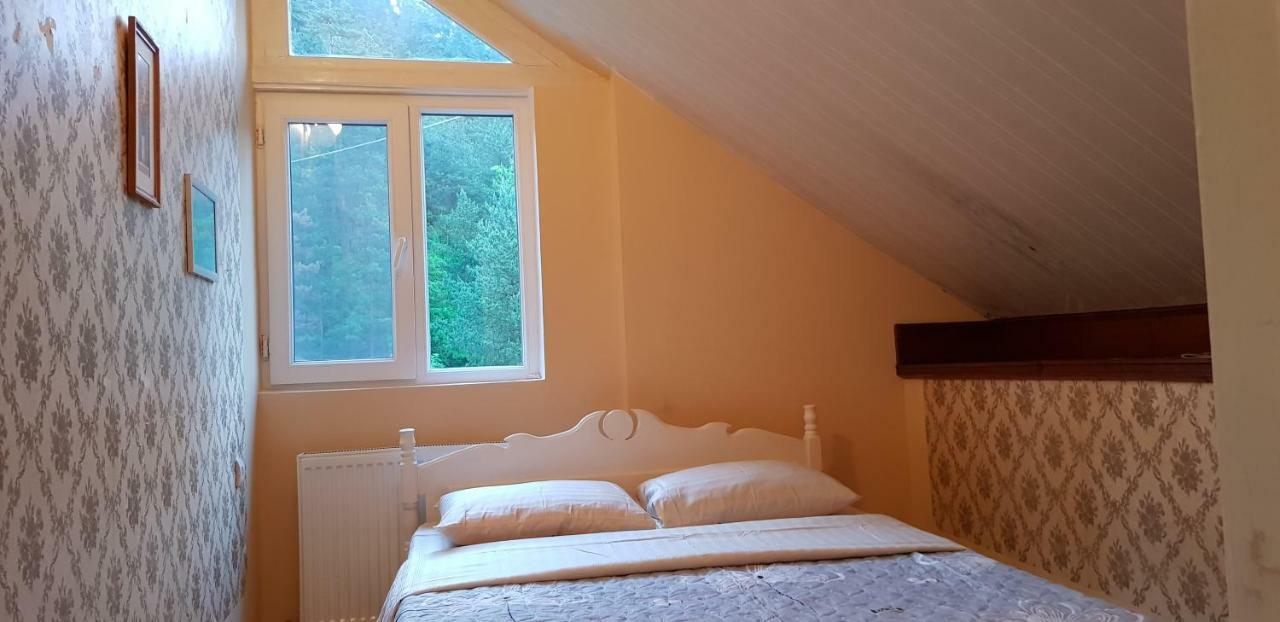 Guest House Likani 2017 Borjomi Esterno foto
