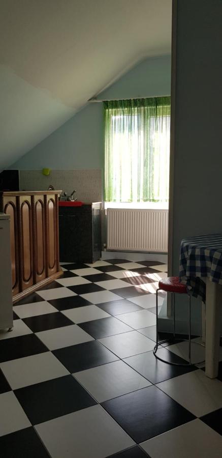 Guest House Likani 2017 Borjomi Esterno foto