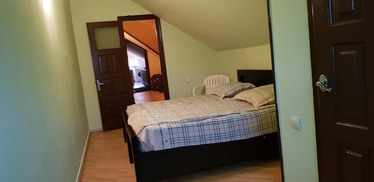 Guest House Likani 2017 Borjomi Esterno foto